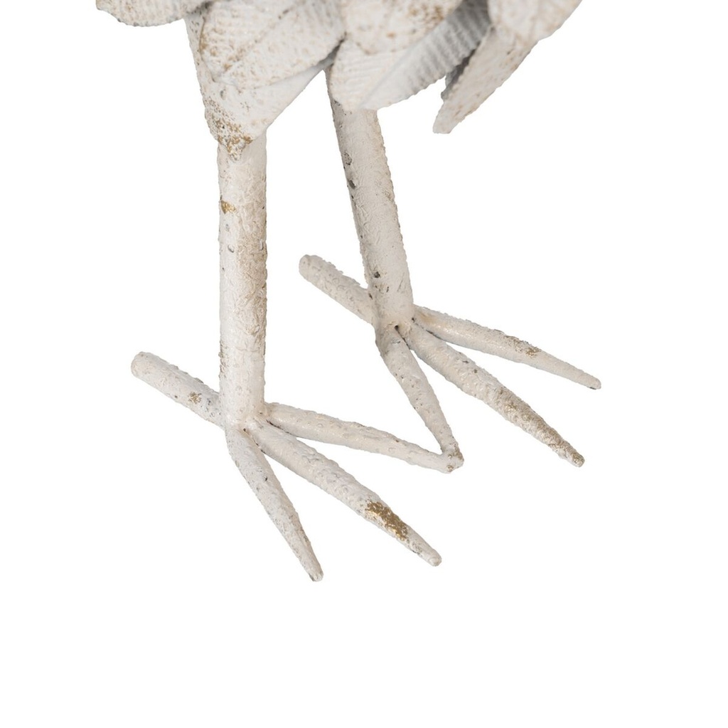 8445146138736_S8808125_P50