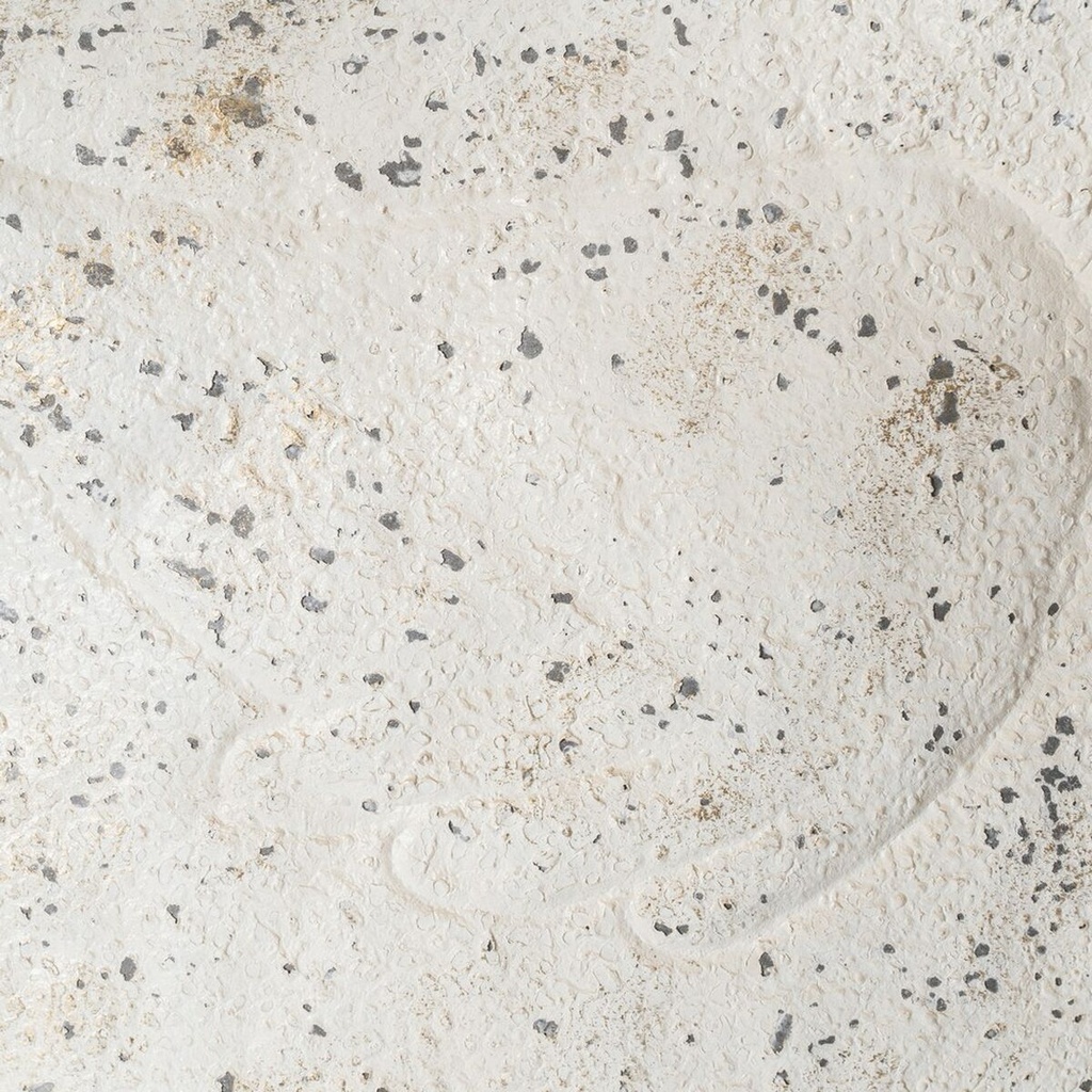 8445146138729_S8808126_P30