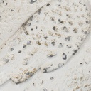 8445146138705_S8808128_P40