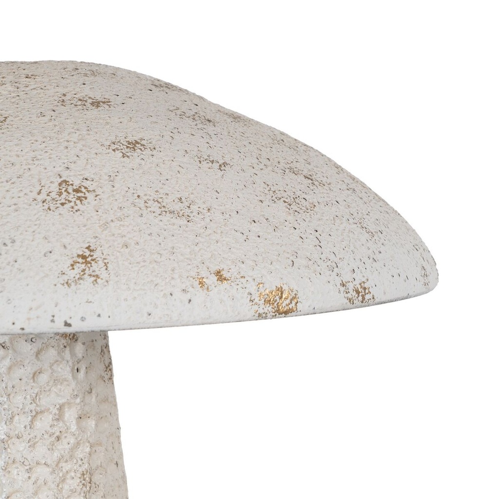 8445146138682_S8808130_P30