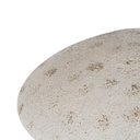 8445146138682_S8808130_P20