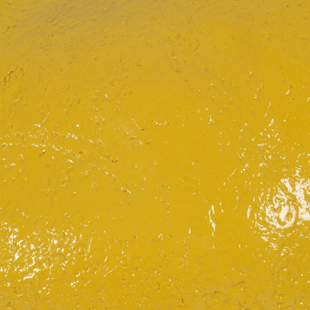 8445146136589_S8808169_P50