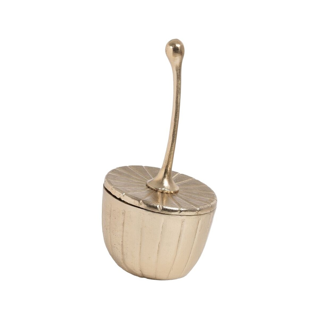 S8808421_1735630554-remove-background0