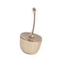 S8808421_1735630554-remove-background0