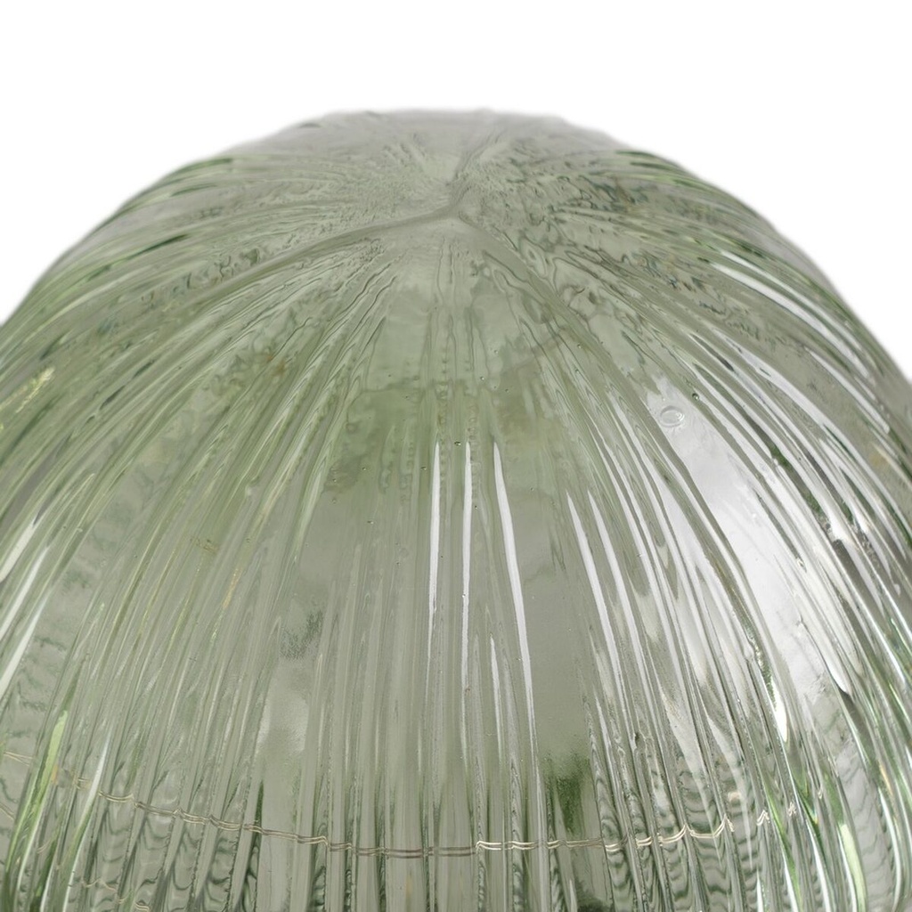 8445146141781_S8807934_P30