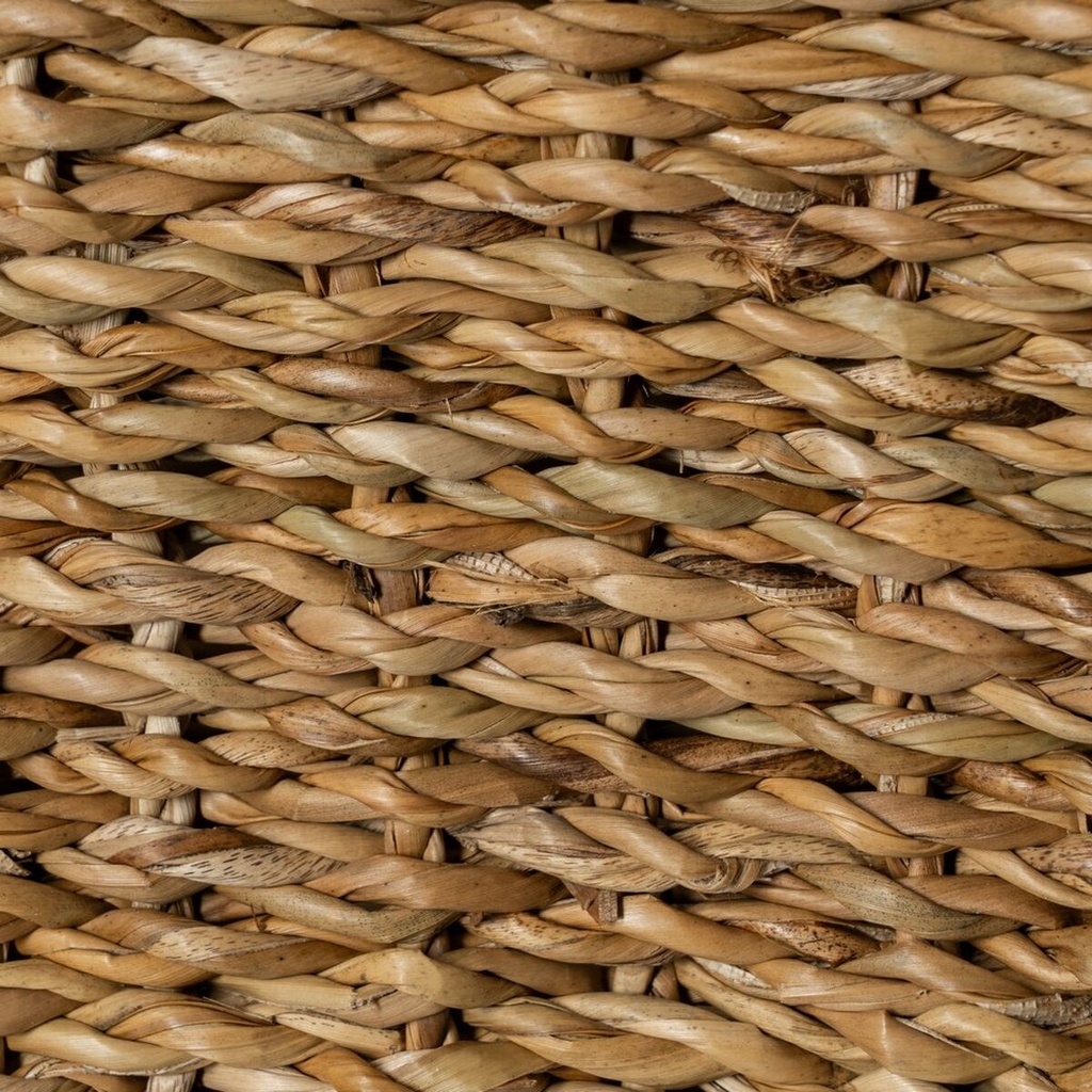 8445146127884_S8808600_P40