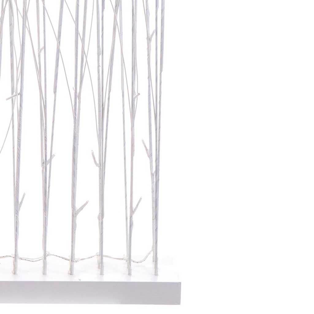 8424346117222_S8803493_P31