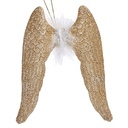 S3630185_71313_1698052586-cropped1