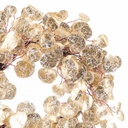 8445147229228_S8807057_P10