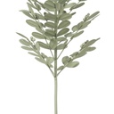 8445146130655_S8808362_P30