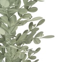 8445146130655_S8808362_P20