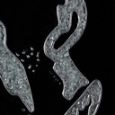 8445146070036_S8802278_P21