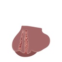 0844477017969_S9404702_P120