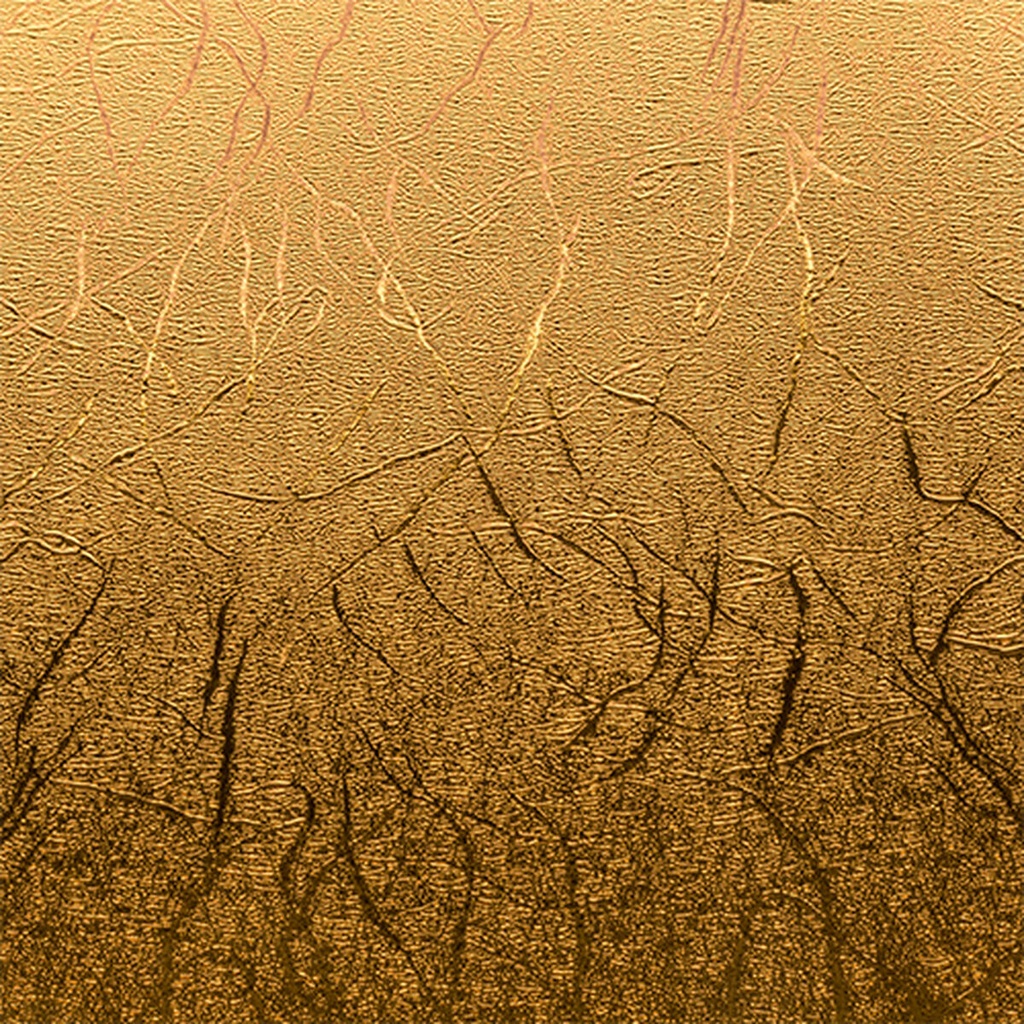 0093573871528_M0324278_P20