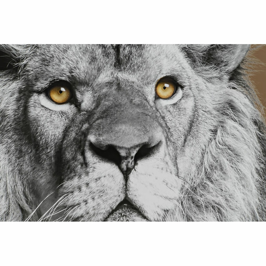 8424001804450_S3028155_P24