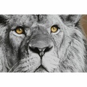 8424001804450_S3028155_P24