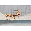 8424001991198_S3028596_P23