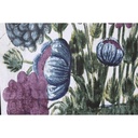 8424002016319_S3039009_P13