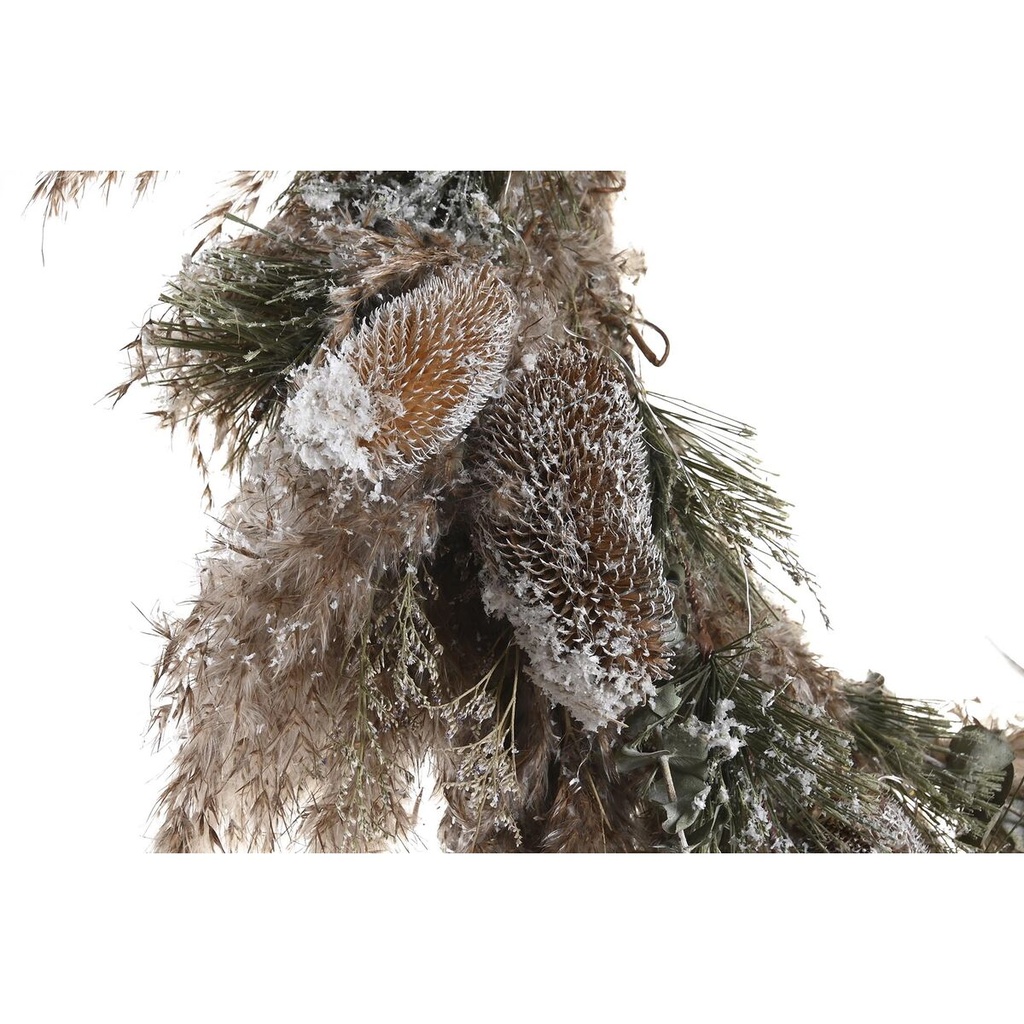 8424001983445_S3036085_P12