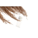 8424001983438_S3036084_P22