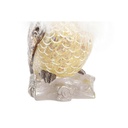 8424001986507_S3036385_P13