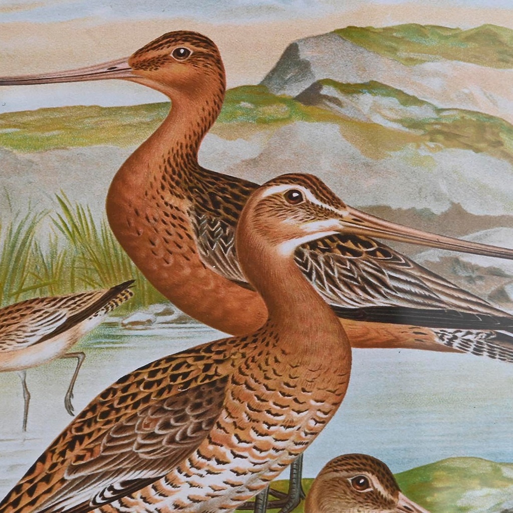 8424002013554_S3038850_P1_WBG1