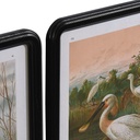 8424002013554_S3038850_P0_WBG1