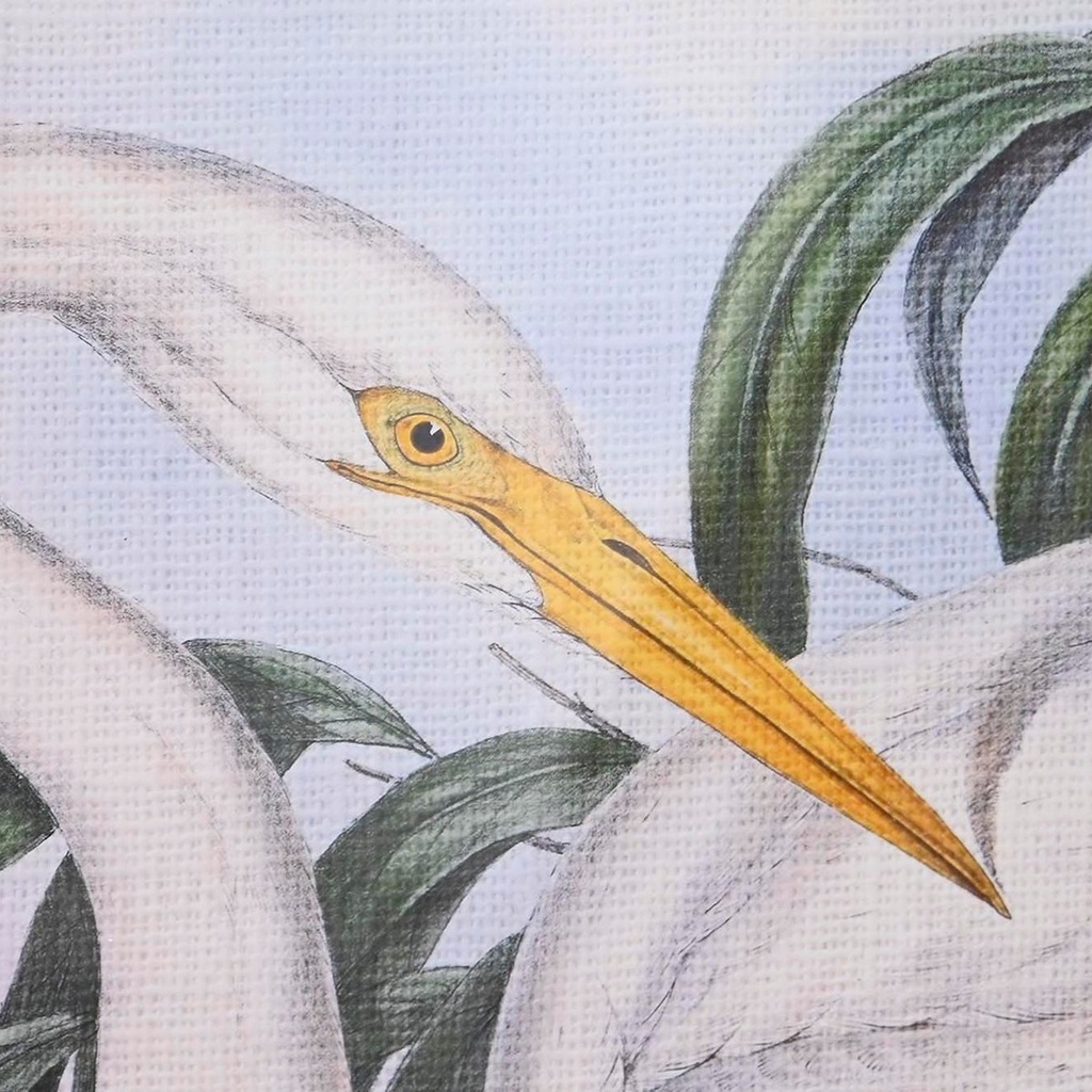 8424002013561_S3038851_P1_WBG3