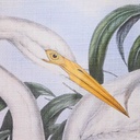 8424002013561_S3038851_P1_WBG3