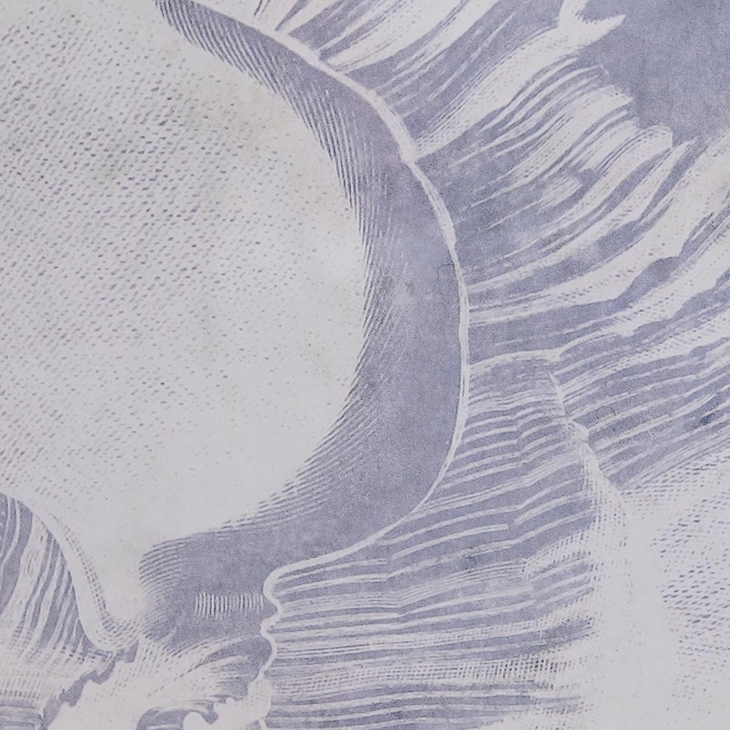 8424002013691_S3038864_P1_WBG2