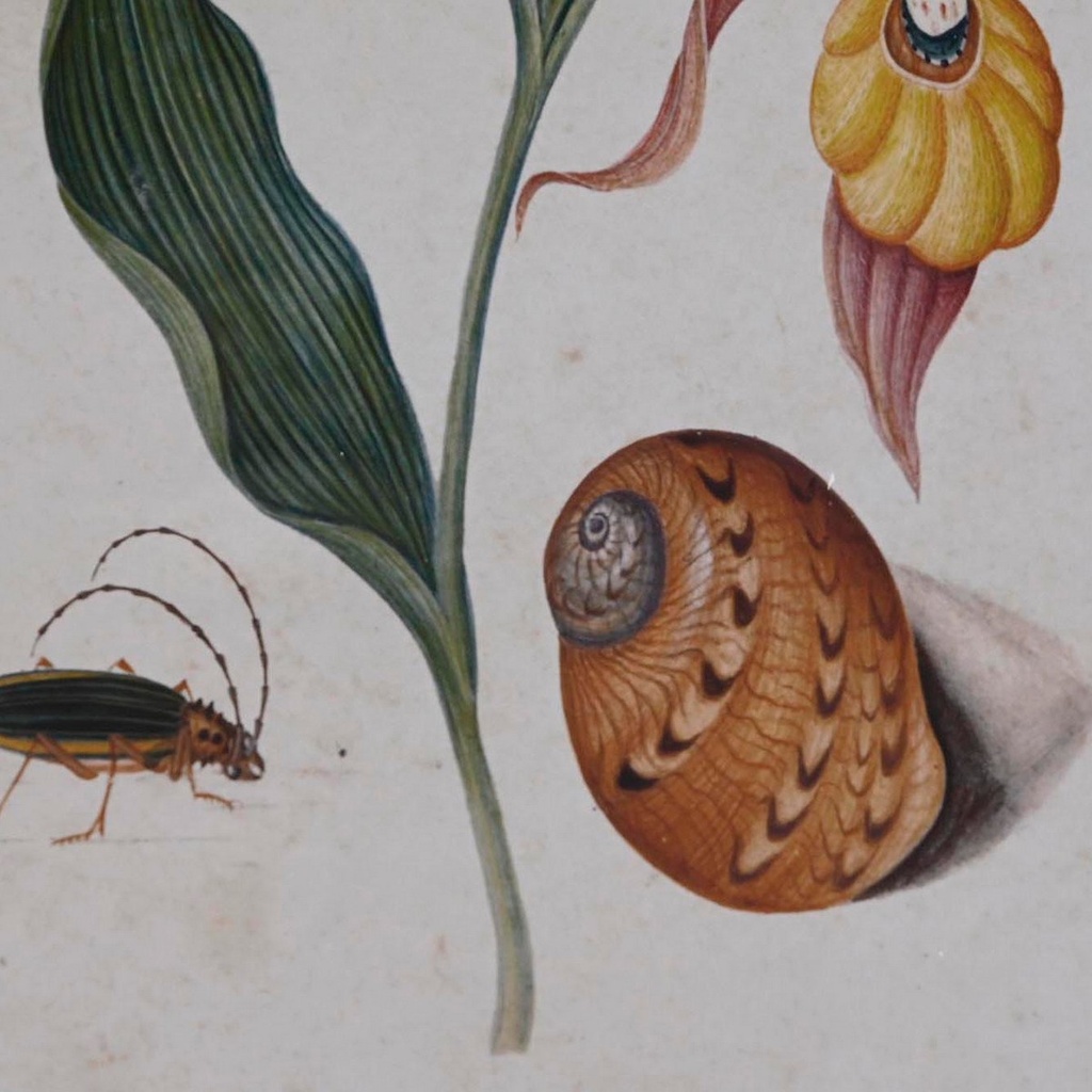 8424002013639_S3038858_P1_WBG2