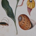 8424002013639_S3038858_P1_WBG2