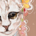 8424001931248_S3028213_P22