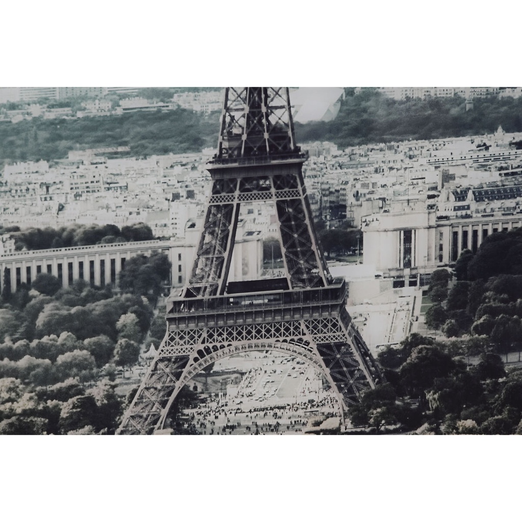 8424002048495_S3042931_P11