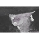 8424002048433_S3042925_P10