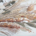 8424002045760_S3042853_P50