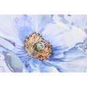 8424002046439_S3042914_P11