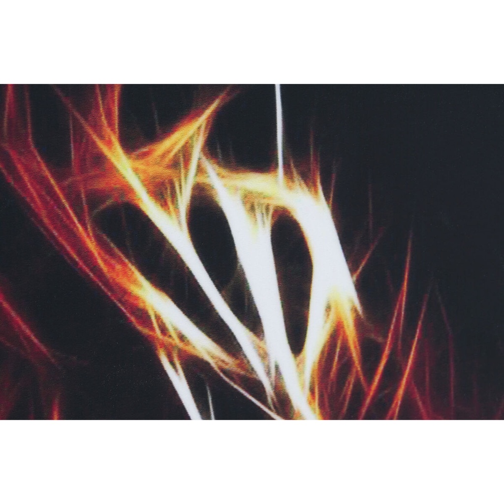 8424002077860_S3052814_P11