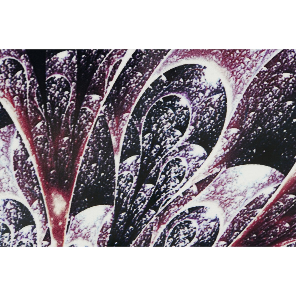 8424002077877_S3052815_P11