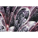 8424002077877_S3052815_P11