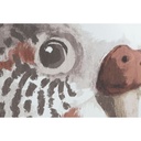 8424002077488_S3052798_P11