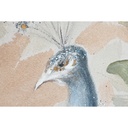 8424002090845_S3053470_P11