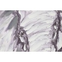 8424002095376_S3053819_P11