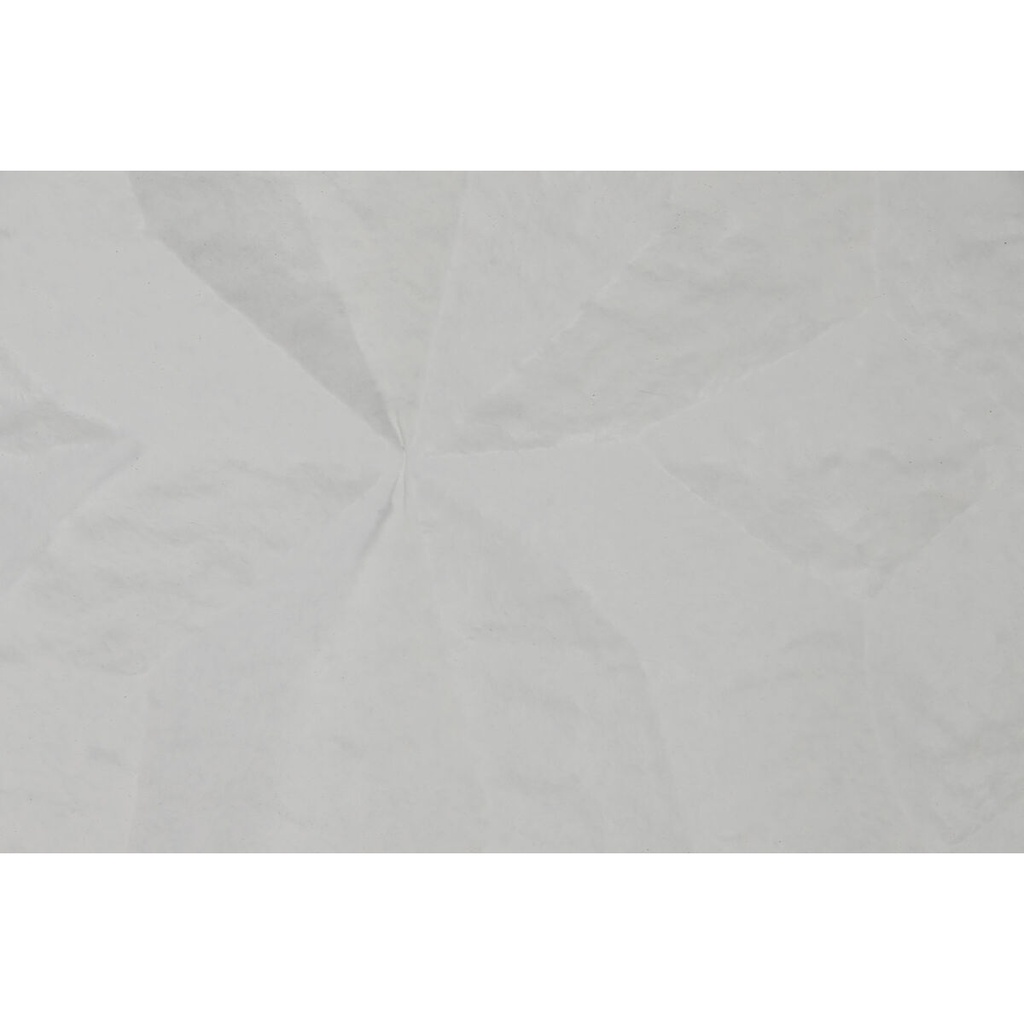 8424002092016_S3054175_P01