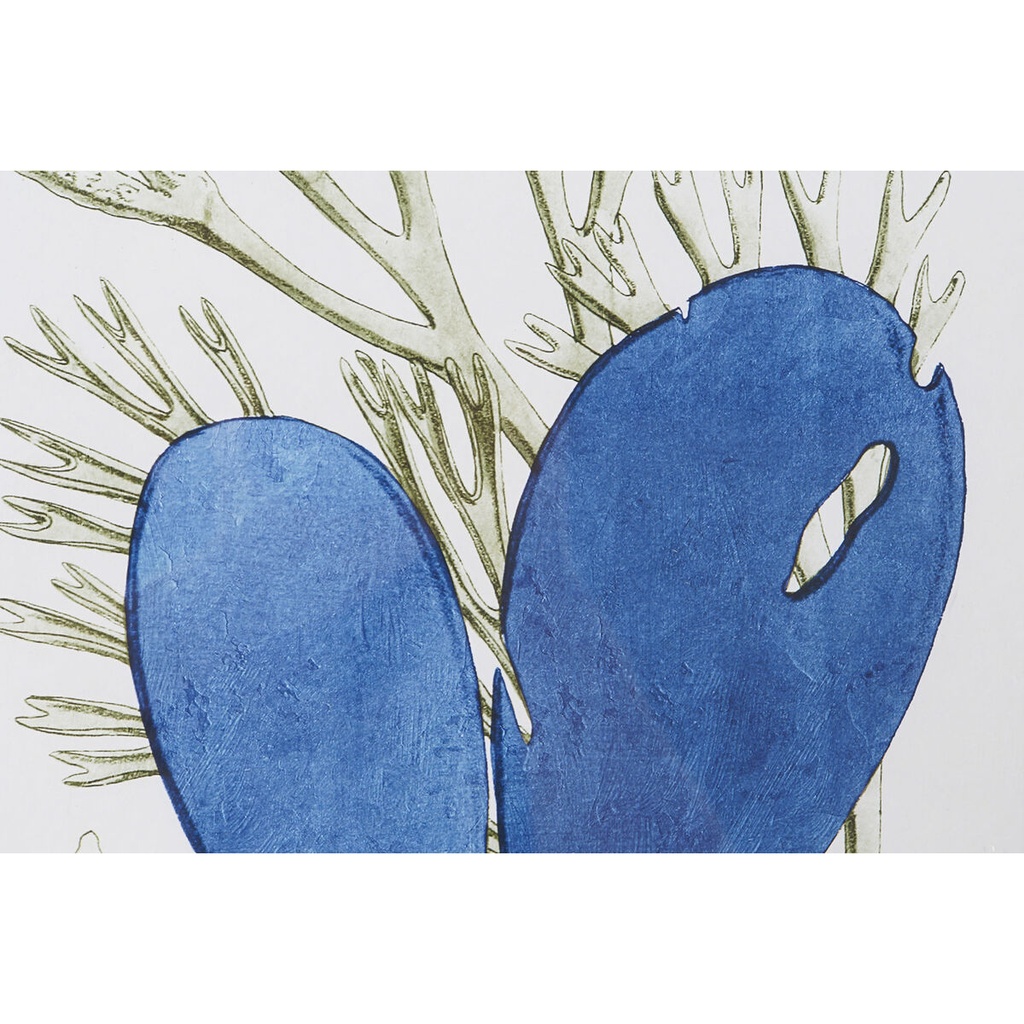 8424002109707_S3054558_P10