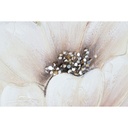 8424002119010_S3054744_P10