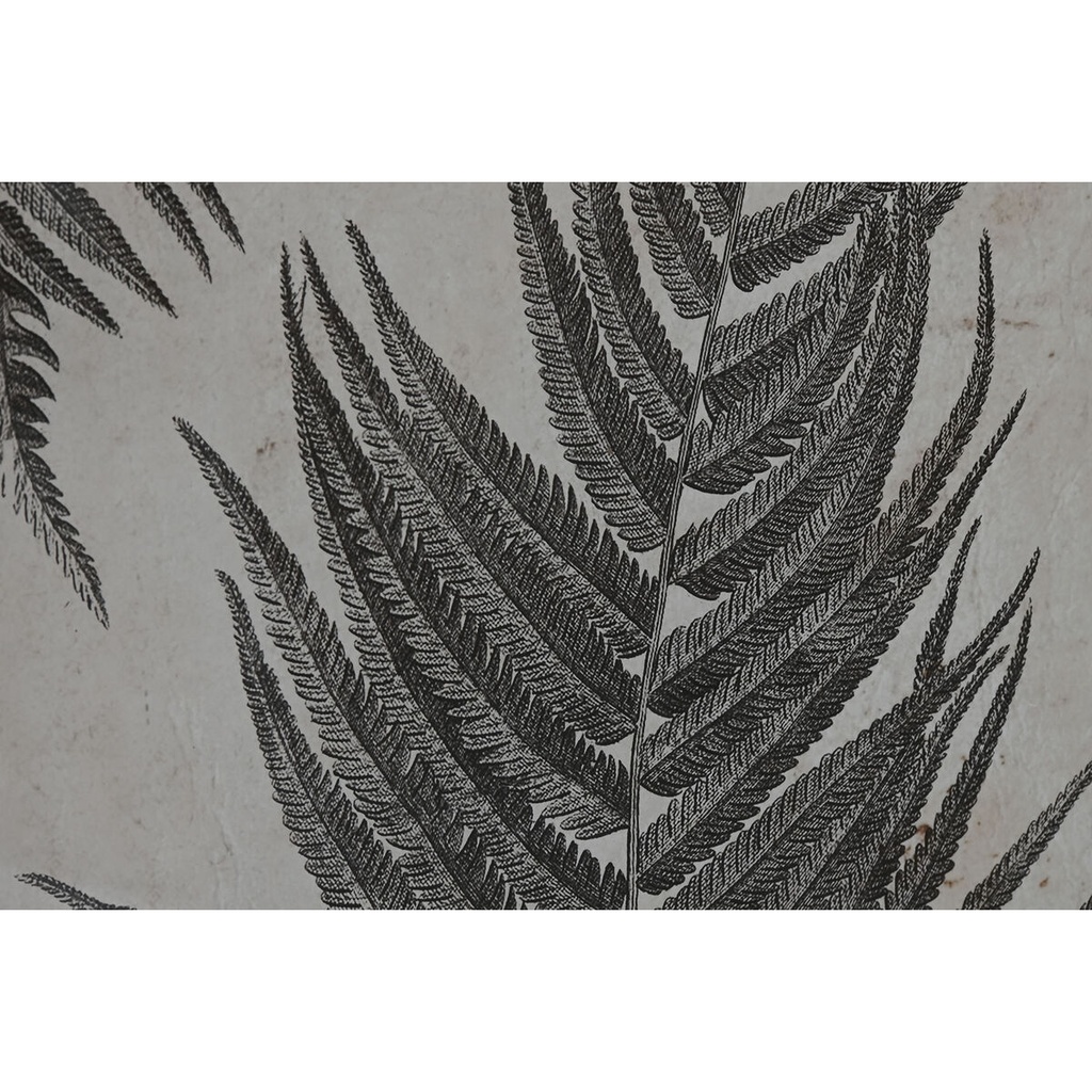 8424002120788_S3055710_P10