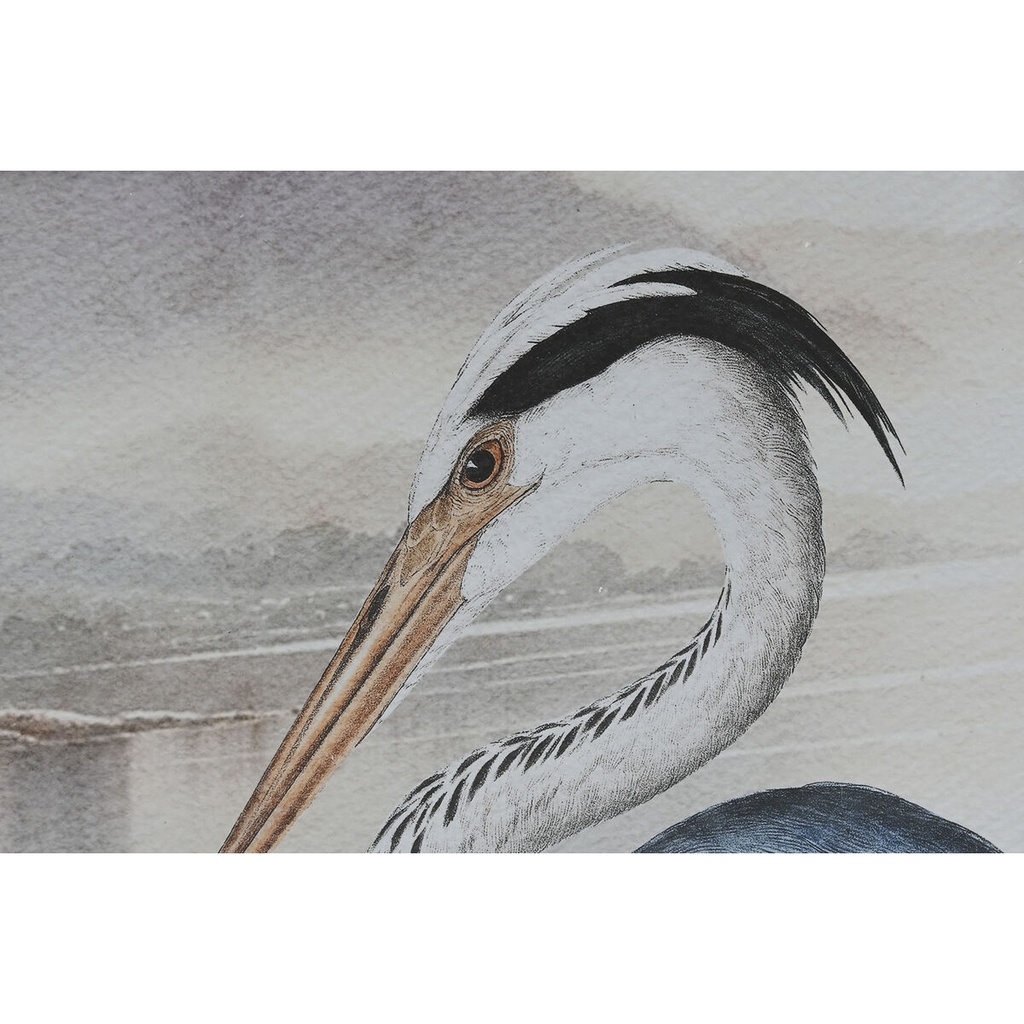 8424002148713_S3057986_P10