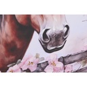 8424002155827_S3058228_P10