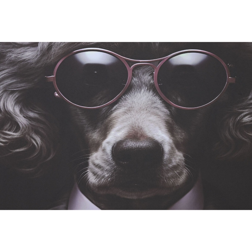 8424002166847_S3058467_P10